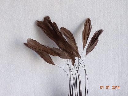 Piquetveertjes donker bruin (fouets, stripped coque) voor versiering hoed of fascinator