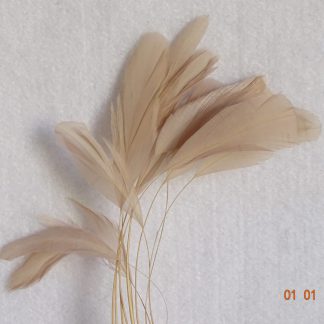 Piquetveertjes beige (fouets, stripped coque) voor versiering hoed of fascinator