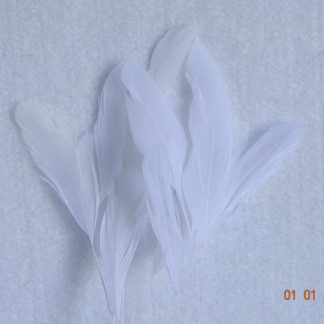 Piquetveertjes wit (fouets, stripped coque) voor versiering hoed of fascinator
