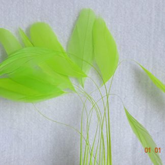 Piquetveertjes fluor groen (fouets, stripped coque) voor versiering hoed of fascinator