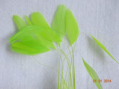 Piquetveertjes fluor groen (fouets, stripped coque) voor versiering hoed of fascinator