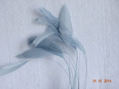 Piquetveertjes licht blauw (fouets, stripped coque) voor versiering hoed of fascinator