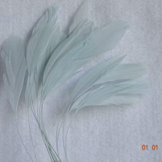 Piquetveertjes baby blauw (fouets, stripped coque) voor versiering hoed of fascinator
