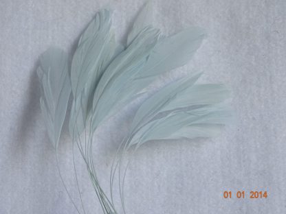 Piquetveertjes baby blauw (fouets, stripped coque) voor versiering hoed of fascinator