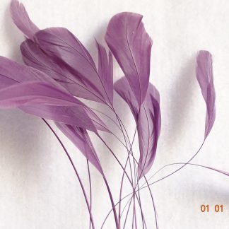 Piquetveertjes paars (fouets, stripped coque) voor versiering hoed of fascinator