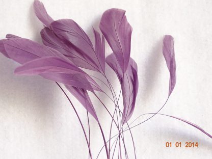 Piquetveertjes paars (fouets, stripped coque) voor versiering hoed of fascinator