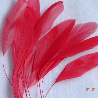 Piquetveertjes licht rood (fouets, stripped coque) voor versiering hoed of fascinator