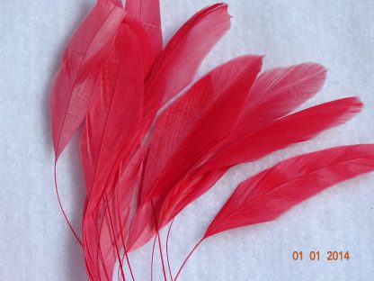 Piquetveertjes licht rood (fouets, stripped coque) voor versiering hoed of fascinator