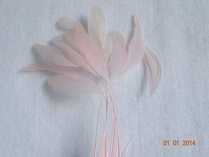 Piquetveertjes zoet roze (fouets, stripped coque) voor versiering hoed of fascinator