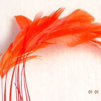 Piquetveertjes oranje (fouets, stripped coque) voor versiering hoed of fascinator