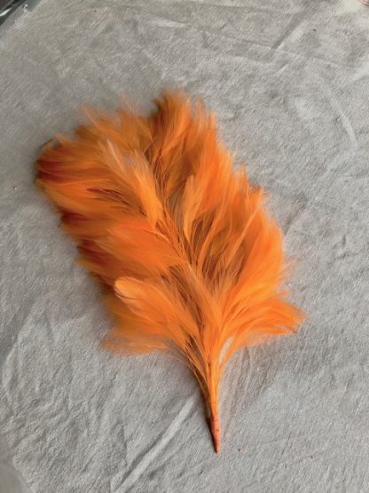verenpluim op ijzerdraad licht oranje voor versiering hoed of fascinator