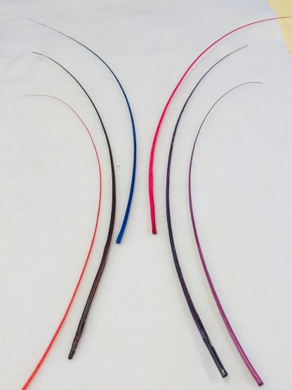 Gekleurde verenschachten ( quill, spadona) voor versiering