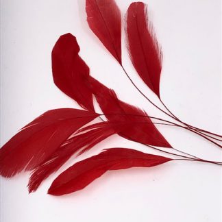 piquetveertjes donker rood voor versiering (stripped coque)
