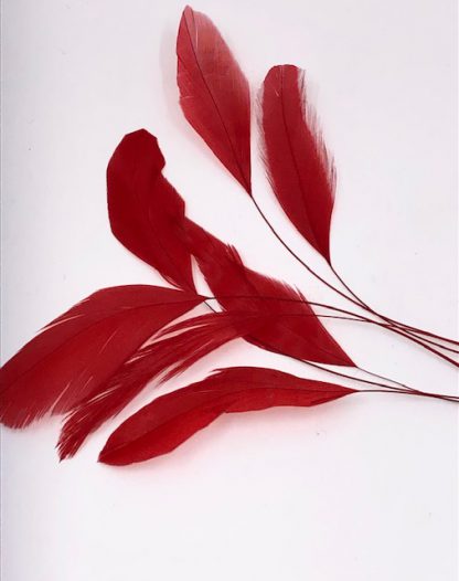 piquetveertjes donker rood voor versiering (stripped coque)