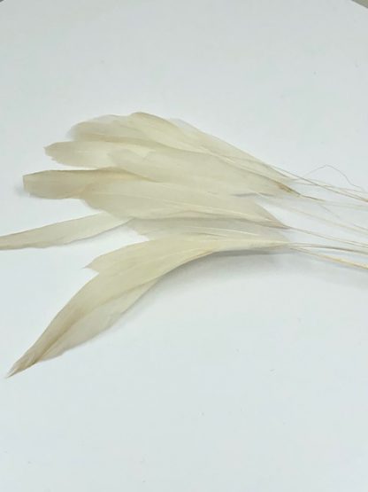 piquetveertjes naturel voor versiering (stripped coque)