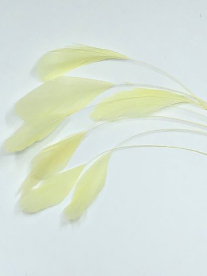 piquetveertjes licht kanarie geel voor versiering (stripped coque)